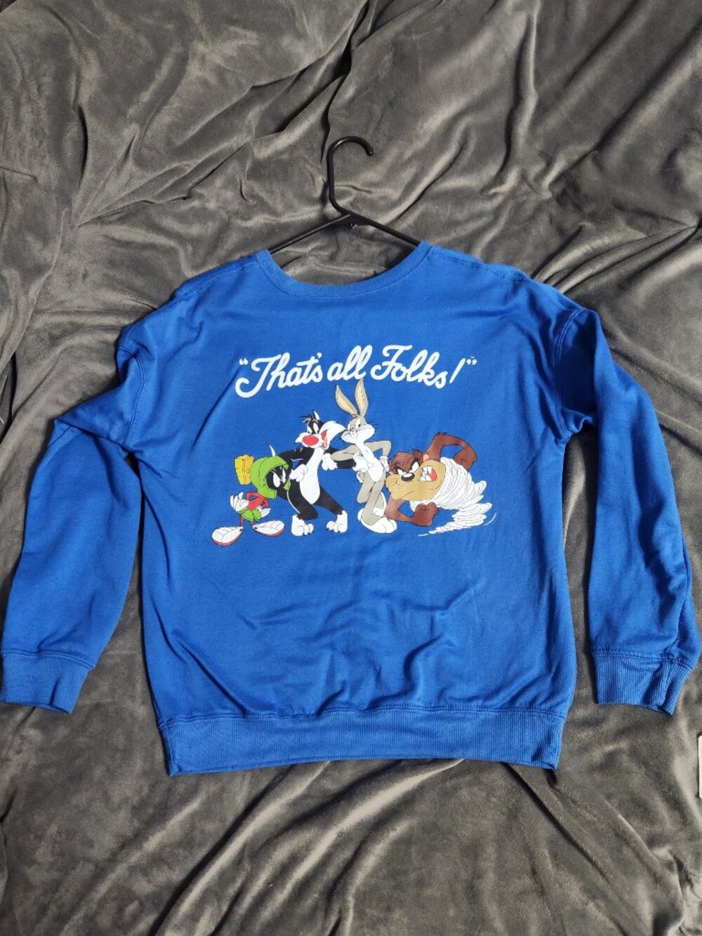 Looney tunes sweater